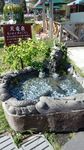 DSC_0195.jpg